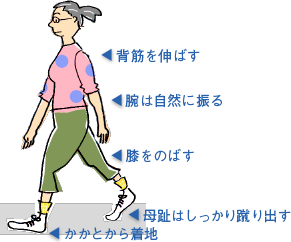 正しい歩き方をマスター