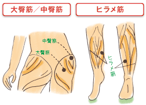 間違った歩き方の悪循環