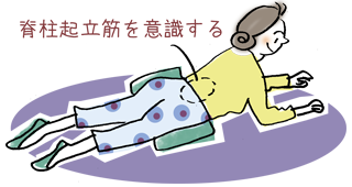 脊柱起立筋のトレーニング