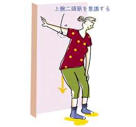 上腕二頭筋のストレッチング